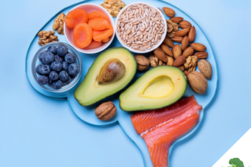 Gesunde Lebensmittel in der Form eines Gehirns angeordnet, darunter Avocado, Blaubeeren, Trockenaprikosen, Nüsse, Sonnenblumenkerne und Lachs, symbolisieren den Zusammenhang zwischen Ernährung und Gehirnfunktion.