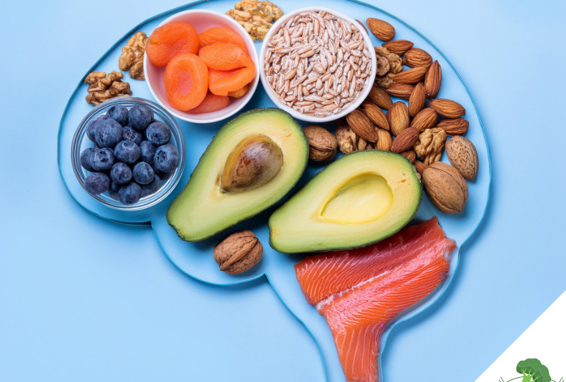 Gesunde Lebensmittel in der Form eines Gehirns angeordnet, darunter Avocado, Blaubeeren, Trockenaprikosen, Nüsse, Sonnenblumenkerne und Lachs, symbolisieren den Zusammenhang zwischen Ernährung und Gehirnfunktion.