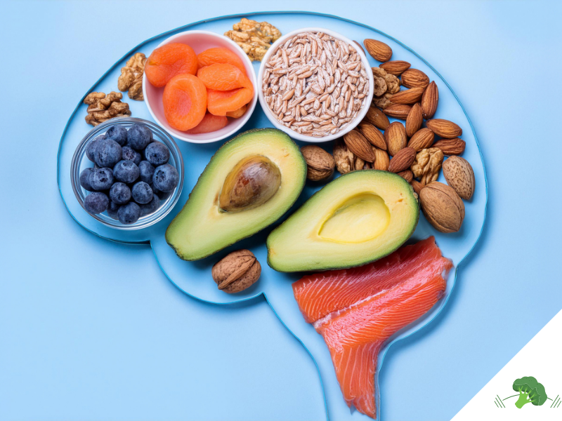 Gesunde Lebensmittel in der Form eines Gehirns angeordnet, darunter Avocado, Blaubeeren, Trockenaprikosen, Nüsse, Sonnenblumenkerne und Lachs, symbolisieren den Zusammenhang zwischen Ernährung und Gehirnfunktion.