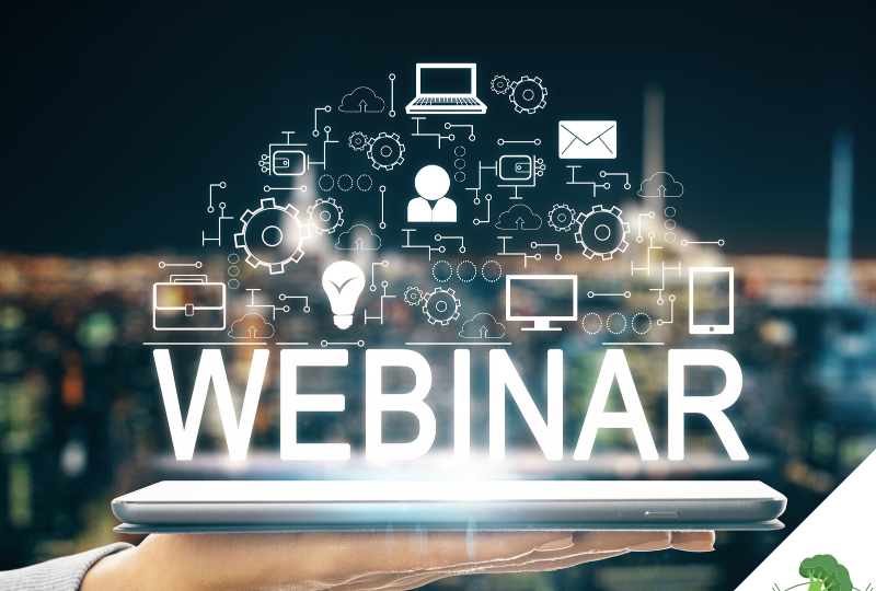 Eine Hand hält ein digitales Tablet, über dem das Wort „WEBINAR“ leuchtend erscheint. Darüber schweben zahlreiche Symbole wie Laptop, Person, E-Mail, Zahnräder und Glühbirne, die digitale Vernetzung und Online-Kommunikation symbolisieren. Im Hintergrund ist eine unscharfe Stadtansicht bei Nacht zu sehen.