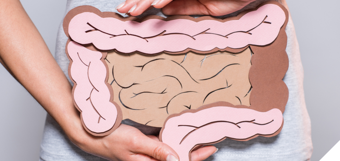 Frau in grauem Shirt hält ein anatomisches Modell des menschlichen Darms aus Papier vor ihren Bauch, um die Bedeutung der Darmgesundheit visuell darzustellen.