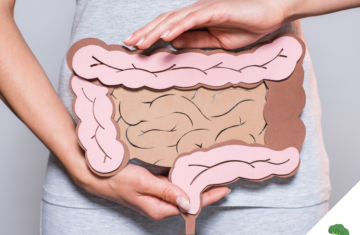 Frau in grauem Shirt hält ein anatomisches Modell des menschlichen Darms aus Papier vor ihren Bauch, um die Bedeutung der Darmgesundheit visuell darzustellen.