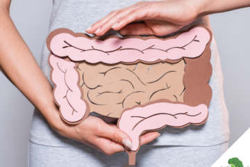 Frau in grauem Shirt hält ein anatomisches Modell des menschlichen Darms aus Papier vor ihren Bauch, um die Bedeutung der Darmgesundheit visuell darzustellen.