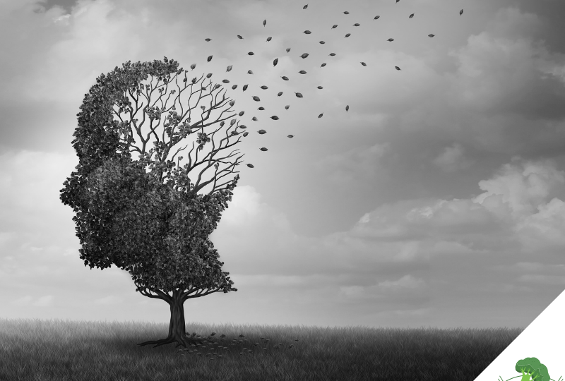 Ein Baum in Form eines menschlichen Kopfes verliert seine Blätter, beginnend im Bereich des Gehirns – eine symbolische Darstellung für geistigen Verfall, wie er bei Alzheimer oder anderen neurodegenerativen Erkrankungen auftreten kann.
