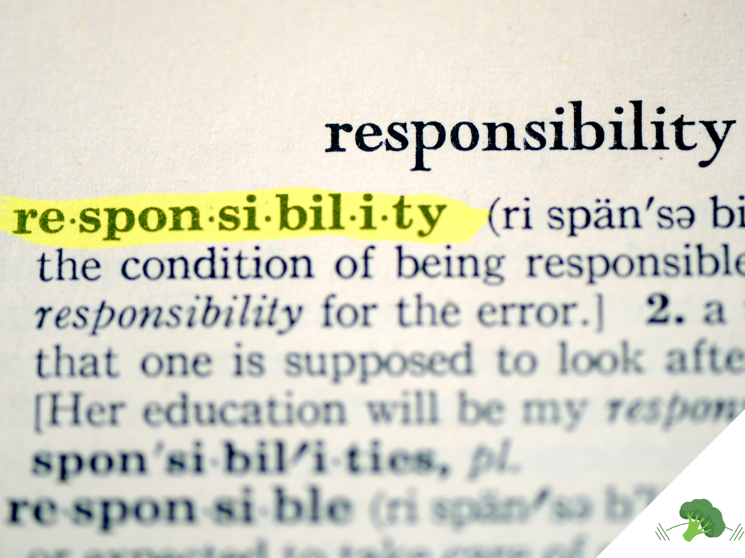 Ein Ausschnitt aus einem englischen Wörterbuch zeigt den Begriff „responsibility“, wobei die Silbentrennung „re·spon·si·bil·i·ty“ gelb markiert ist. Darunter beginnt die Definition des Begriffs. In der rechten unteren Ecke ist ein kleines Brokkoli-Symbol.