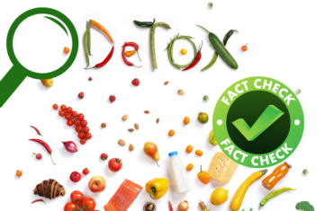 Collage aus verschiedenen Lebensmitteln auf hellem Hintergrund: Das Wort Detox ist aus Gemüse und Chili geformt, links ist eine grüne Lupe zu sehen und rechts ein großer grüner Fact-Check-Stempel. Unten liegen unter anderem Tomaten, Paprika, Lachs, Milch, Käse, Öl, Zwiebeln, Obst und weiteres Gemüse verstreut.