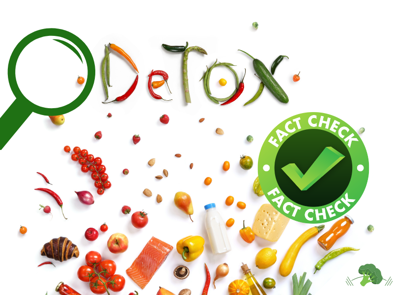 Collage aus verschiedenen Lebensmitteln auf hellem Hintergrund: Das Wort Detox ist aus Gemüse und Chili geformt, links ist eine grüne Lupe zu sehen und rechts ein großer grüner Fact-Check-Stempel. Unten liegen unter anderem Tomaten, Paprika, Lachs, Milch, Käse, Öl, Zwiebeln, Obst und weiteres Gemüse verstreut.