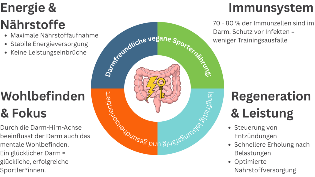 Infografik zur darmfreundlichen veganen Sporternährung: Ein kreisförmiges Diagramm zeigt den Darm mit einem Schlüssel als Zentrum, umgeben von den vier Säulen: Energie & Nährstoffe, Immunsystem, Wohlbefinden & Fokus sowie Regeneration & Leistung.